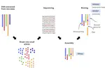Metagenomics