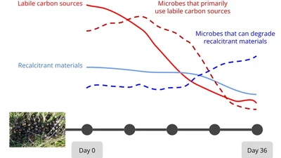 Microbial Succession in Elk Dung featured image