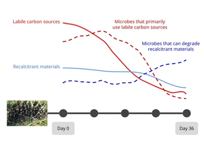 Microbial Succession in Elk Dung featured image