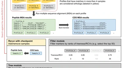 Phyling featured image