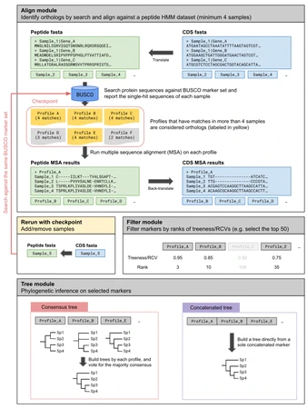 Phyling featured image